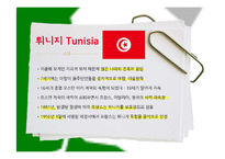독립아랍국가의 등장과 아랍민족주의-10