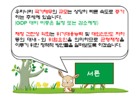 우리나라 국가재정 문제점 및 발전방안-2