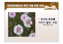 [비교문화론] 종교와 세계관-4