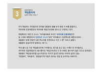 [행정조직론] 책임총리제와 경제부총리에 대하여-10