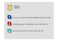 [행정조직론] 책임총리제와 경제부총리에 대하여-11