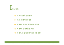 토니블레어의 유럽관과 제3의 길-2