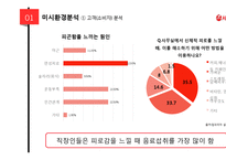 서울우유 기업분석과 서울우유 마케팅 SWOT,4P,STP,3C분석및 서울우유전략의 의의와 한계점분석 PPT레포트-12