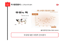 서울우유 기업분석과 서울우유 마케팅 SWOT,4P,STP,3C분석및 서울우유전략의 의의와 한계점분석 PPT레포트-13