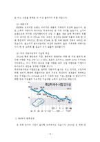 BMW 경영전략분석과 BMW 기업분석및 BMW 향후전망분석 레포트-13