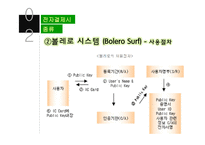 전자결제시스템의 문제점과 대응방안-12