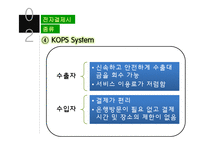 전자결제시스템의 문제점과 대응방안-20