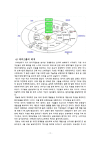 대우그룹 조직의 성장과 쇠퇴-6