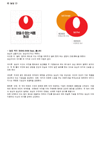 농심 신라면 중국진출 분석-5