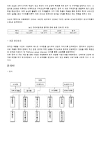 농심 신라면 중국진출 분석-17