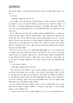 포스코의 인사관리제도-5