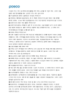 포스코의 인사관리제도-13