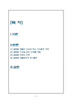 글로벌마케팅 믹스 제품전략-2