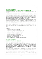글로벌마케팅 믹스 제품전략-10