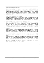 글로벌마케팅 믹스 제품전략-11