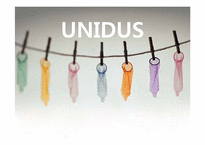유니더스의 핵심역량과 해외진출 전략-1