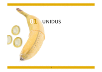 유니더스의 핵심역량과 해외진출 전략-3