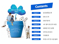 삼성생명 마케팅 전략-1