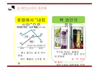 한국 와인시장 현황과 와인소비심리 추론-11