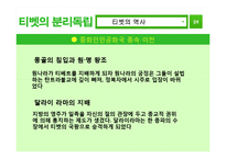 [중국정치] 티벳의 분리독립에 대하여-4