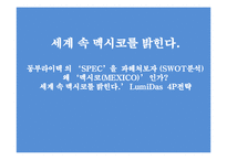 동부라이택의 멕시코 진출 사례-8