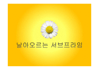 미국 서브프라임 모기지 사태와 세계 경제의 위기-16