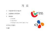 롯데제과와 CJ제일제당 재무분석(~2012)-3