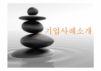기업의 MBTI의 활용사례-14