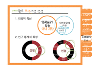 싸이월드 마케팅 사례 분석-16