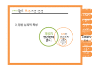 싸이월드 마케팅 사례 분석-17