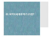 세계무역기구(WTO)의 조직과 역할-3