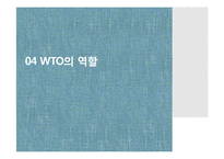 세계무역기구(WTO)의 조직과 역할-11