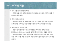 세계무역기구(WTO)의 조직과 역할-12