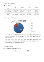 다음 DAUM 마케팅믹스 전략분석과 다음 SWOT,STP,3C분석및 다음 미래전망분석 레포트-5