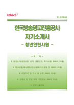 [한국방송광고진흥공사자기소개서] 한국방송광고진흥공사 청년인턴 합격자소서와 면접기출문제-1