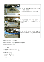 건설재료실험 - 굵은 골재의 비중 및 흡수율 시험-2