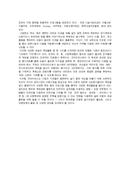 [비영리조직 관리와 사회복지] 굿네이버스 기관 컨설팅[비영리조직 관리와 사회복지(기관 Consulting-Good Neighbors)]-13