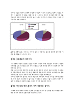 동아시아 경제 - 한국의 중화학 공업화 정책-3