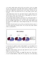 동아시아 경제 - 한국의 중화학 공업화 정책-4