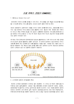 산업분석 - 소셜 커머스 산업(F-COMMERCE) 에 관해-1