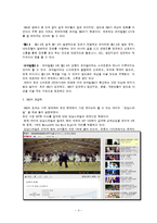 산업분석 - 소셜 커머스 산업(F-COMMERCE) 에 관해-3