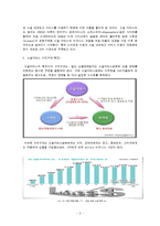 산업분석 - 소셜 커머스 산업(F-COMMERCE) 에 관해-5