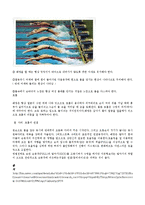 수영 보고서 - 배영에 관해서-7