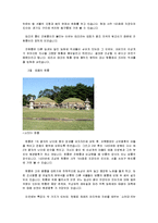 역사 - 왕릉풍수와 조선의 역사-5