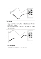 전기전자 실험 - 옴의 법칙 실험-8