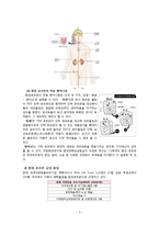 화학 물질 - 인체와 환경에 영향을 주는 환경 호르몬에 관해서-3