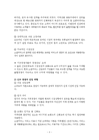 GROUPON 그루폰 한국진출 마케팅 실패사례와 요인분석및 그루폰 한국재진출위한 새로운 마케팅전략 제언 레포트-8