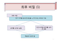 베르나르 베르베르의 뇌-5