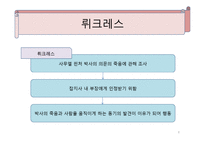 베르나르 베르베르의 뇌-8