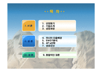 오리온 초코파이의 러시아 진출 성공전략-2
